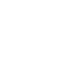 Platform-Specific Optimization